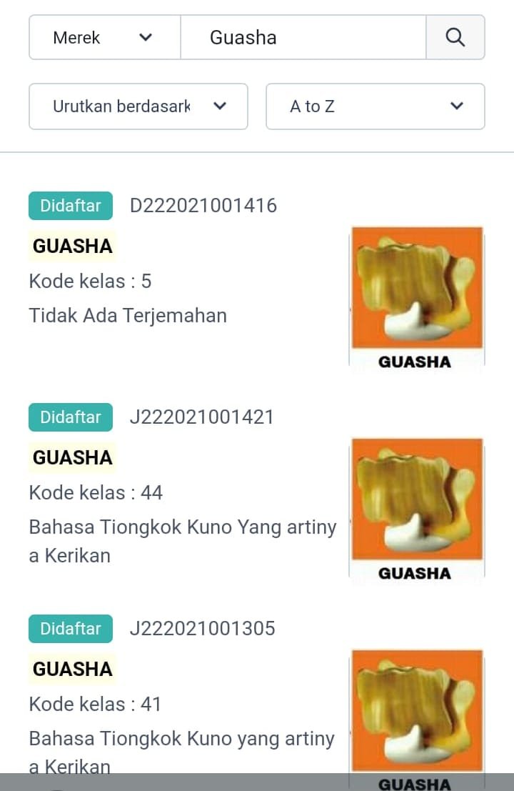 whatsapp image 2025 07 31 at 12.45.58 8873aed3